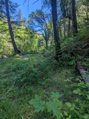 0 Skaggs Springs Road Geyserville CA 95441