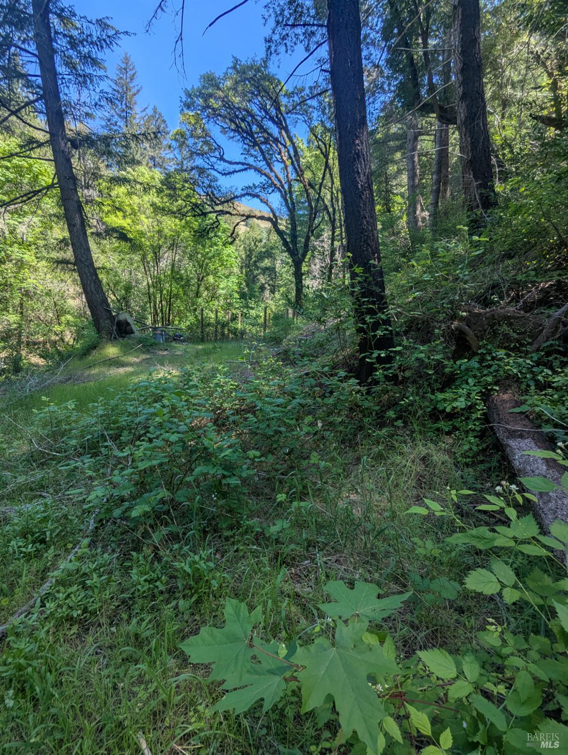 0 Skaggs Springs Road Geyserville CA 95441