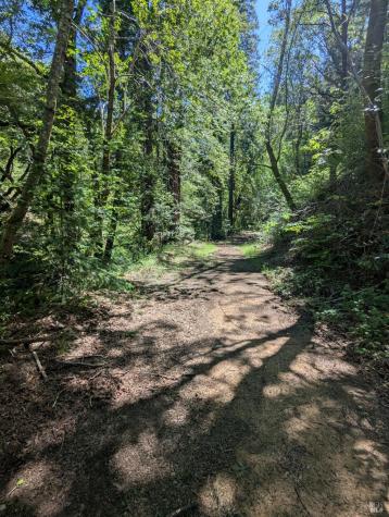 0 Skaggs Springs Road Geyserville CA 95441