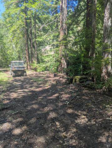 0 Skaggs Springs Road Geyserville CA 95441