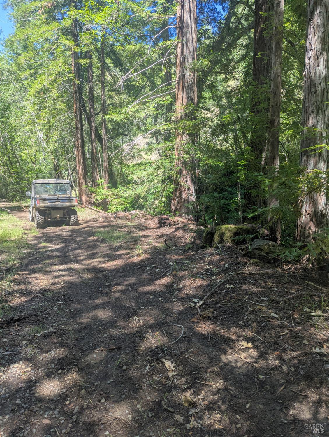 0 Skaggs Springs Road Geyserville CA 95441