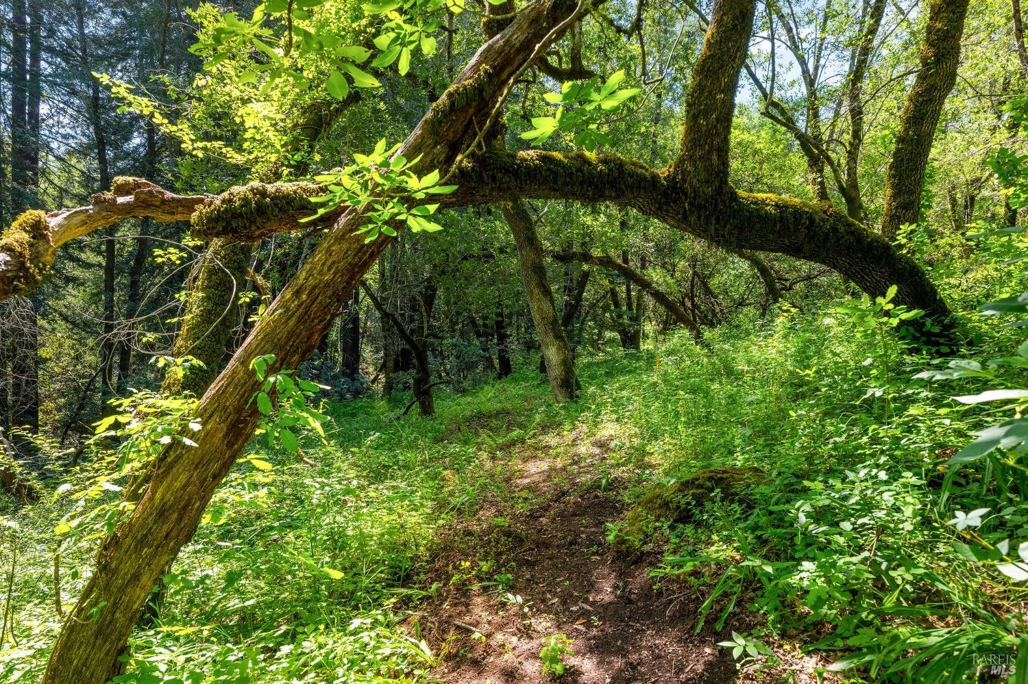 0 High Grove Lane Sonoma CA 95476