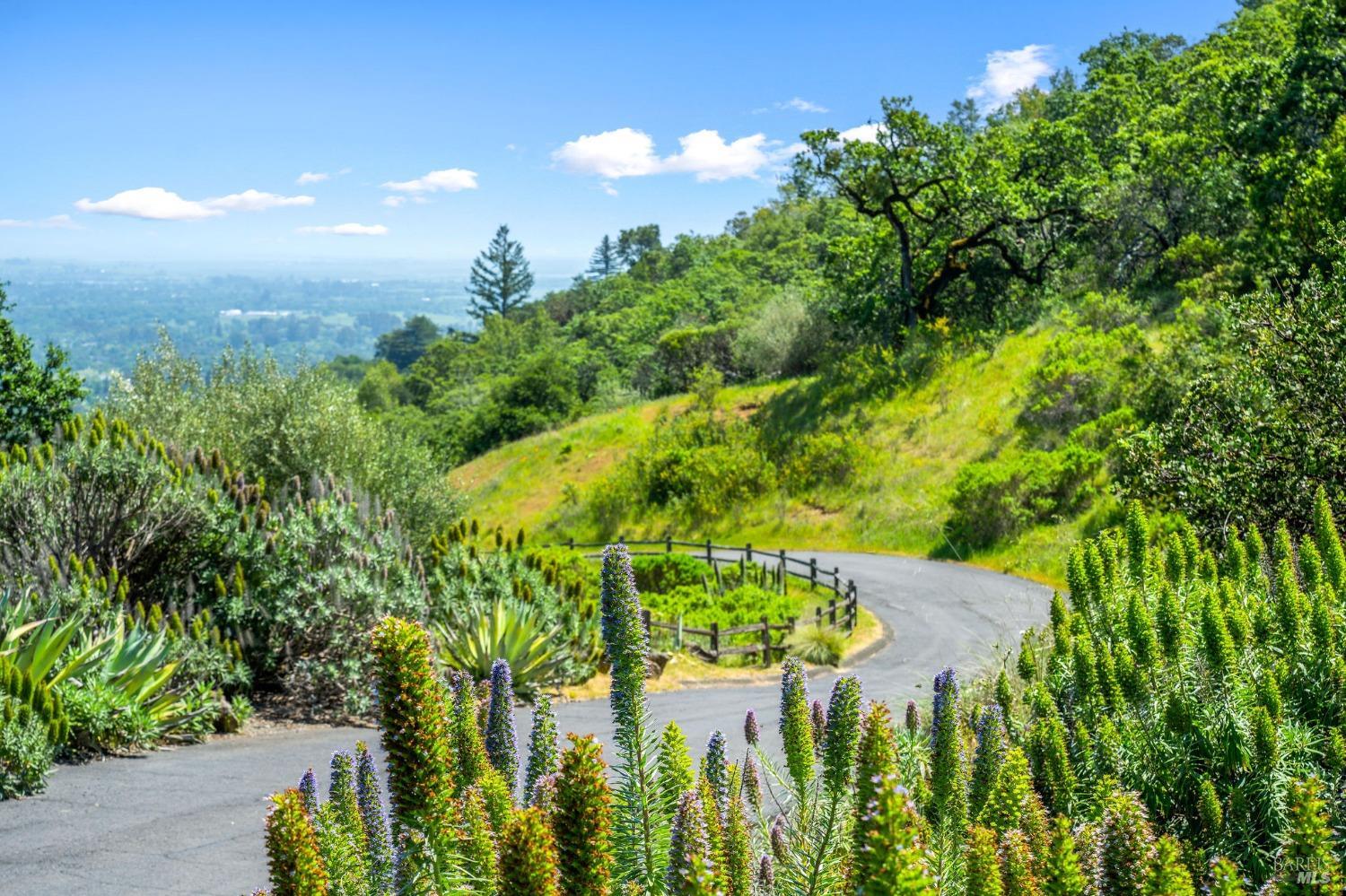 0 High Grove Lane Sonoma CA 95476