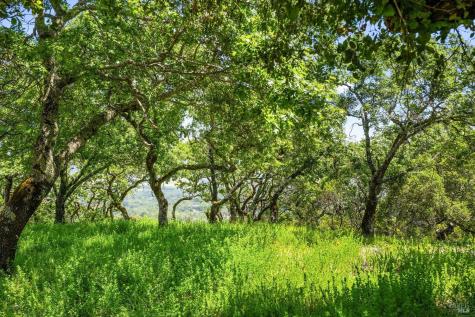 0 High Grove Lane Sonoma CA 95476