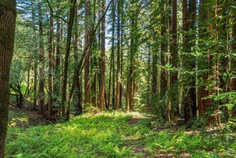 0 High Grove Lane Sonoma CA 95476