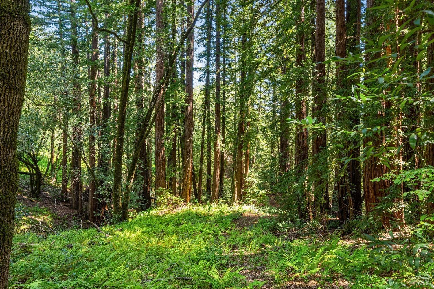 0 High Grove Lane Sonoma CA 95476
