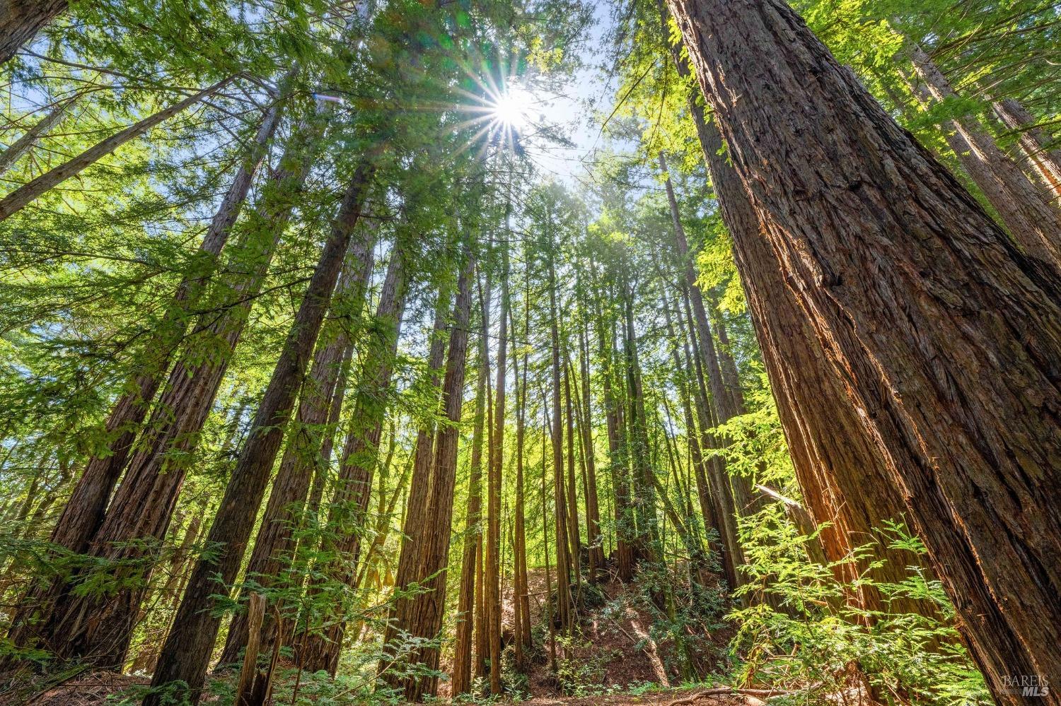 0 High Grove Lane Sonoma CA 95476
