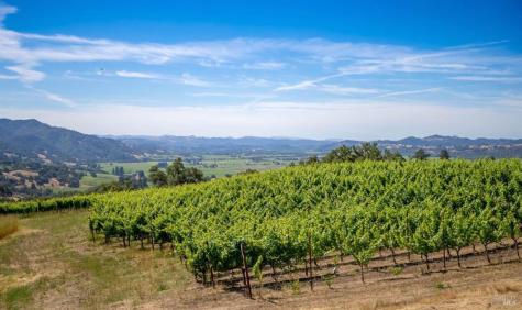 577 Artisan Circle Geyserville CA 95441