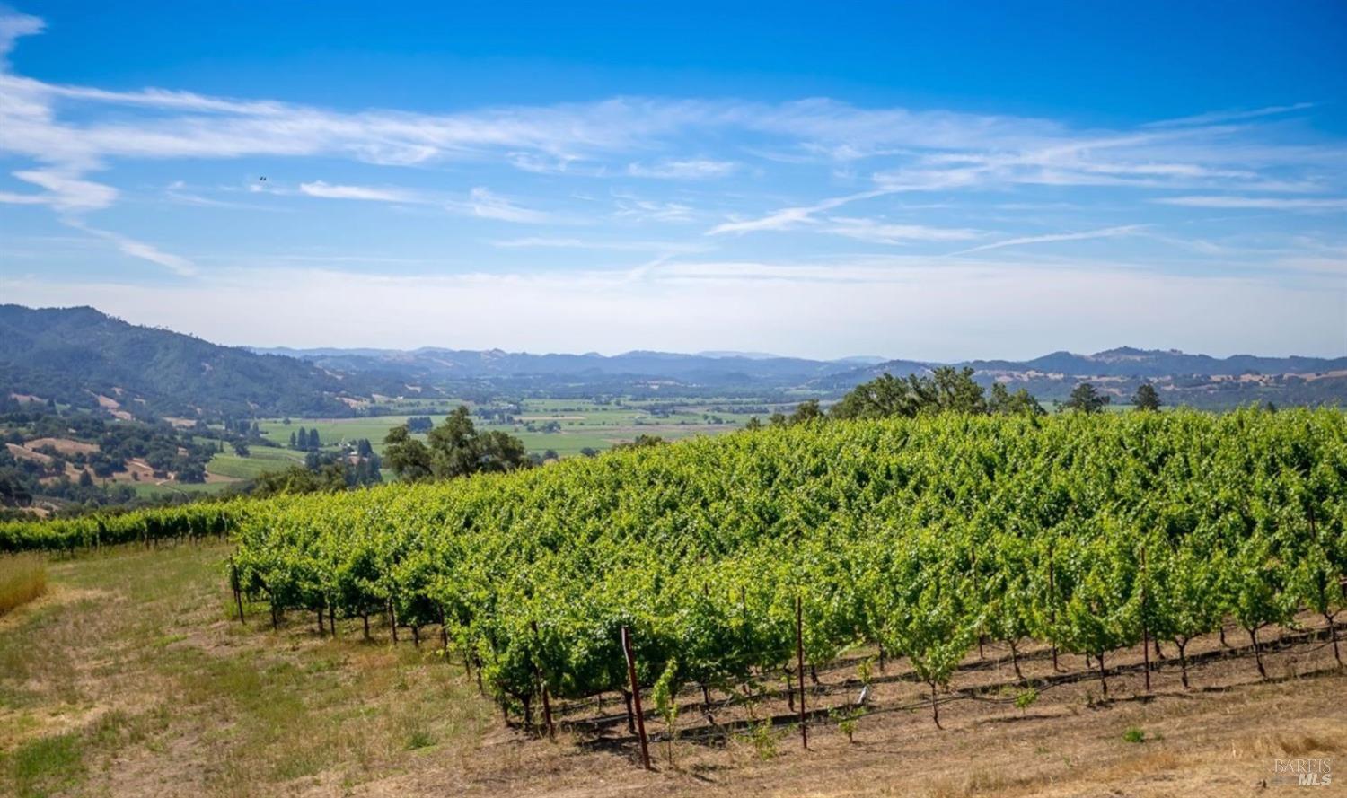 577 Artisan Circle Geyserville CA 95441