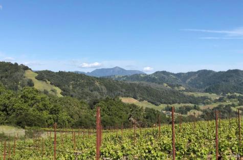 577 Artisan Circle Geyserville CA 95441