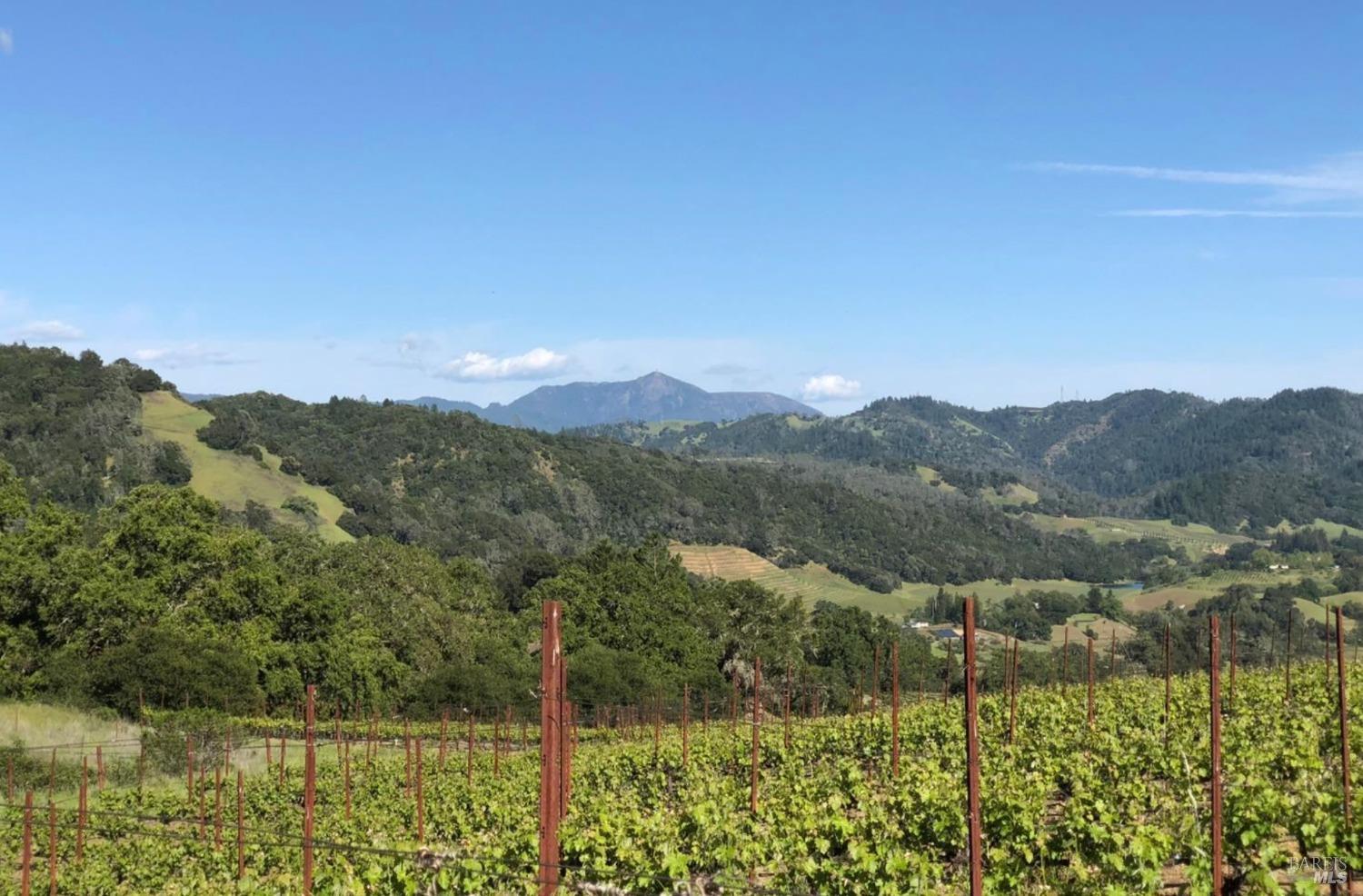 577 Artisan Circle Geyserville CA 95441