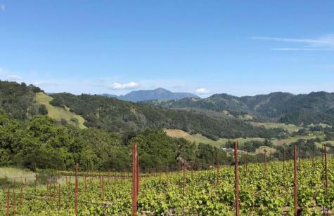577 Artisan Circle Geyserville CA 95441