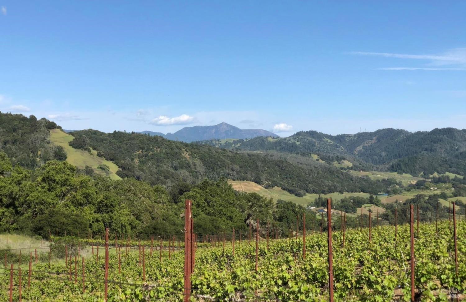 577 Artisan Circle Geyserville CA 95441