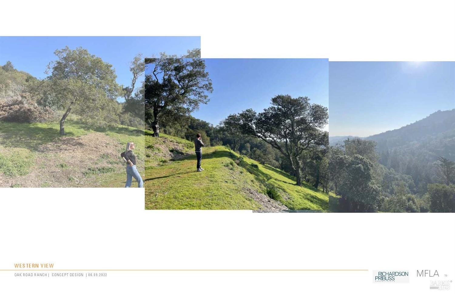 50 Oak Road Larkspur CA 94939