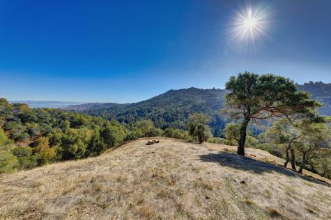 50 Oak Road Larkspur CA 94939