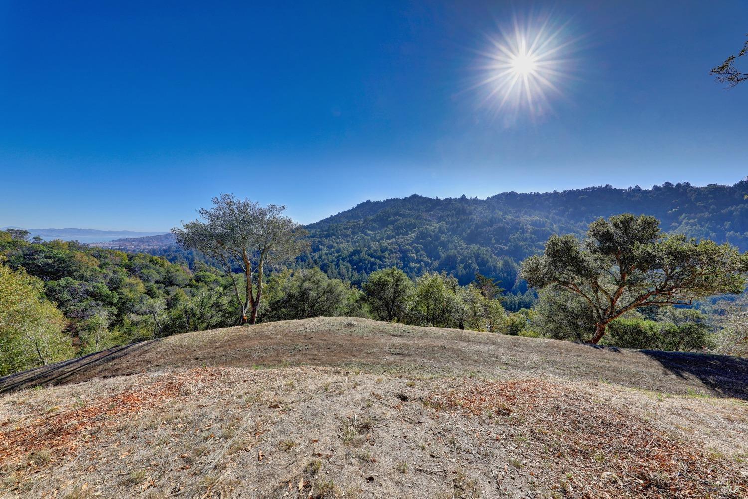 50 Oak Road Larkspur CA 94939