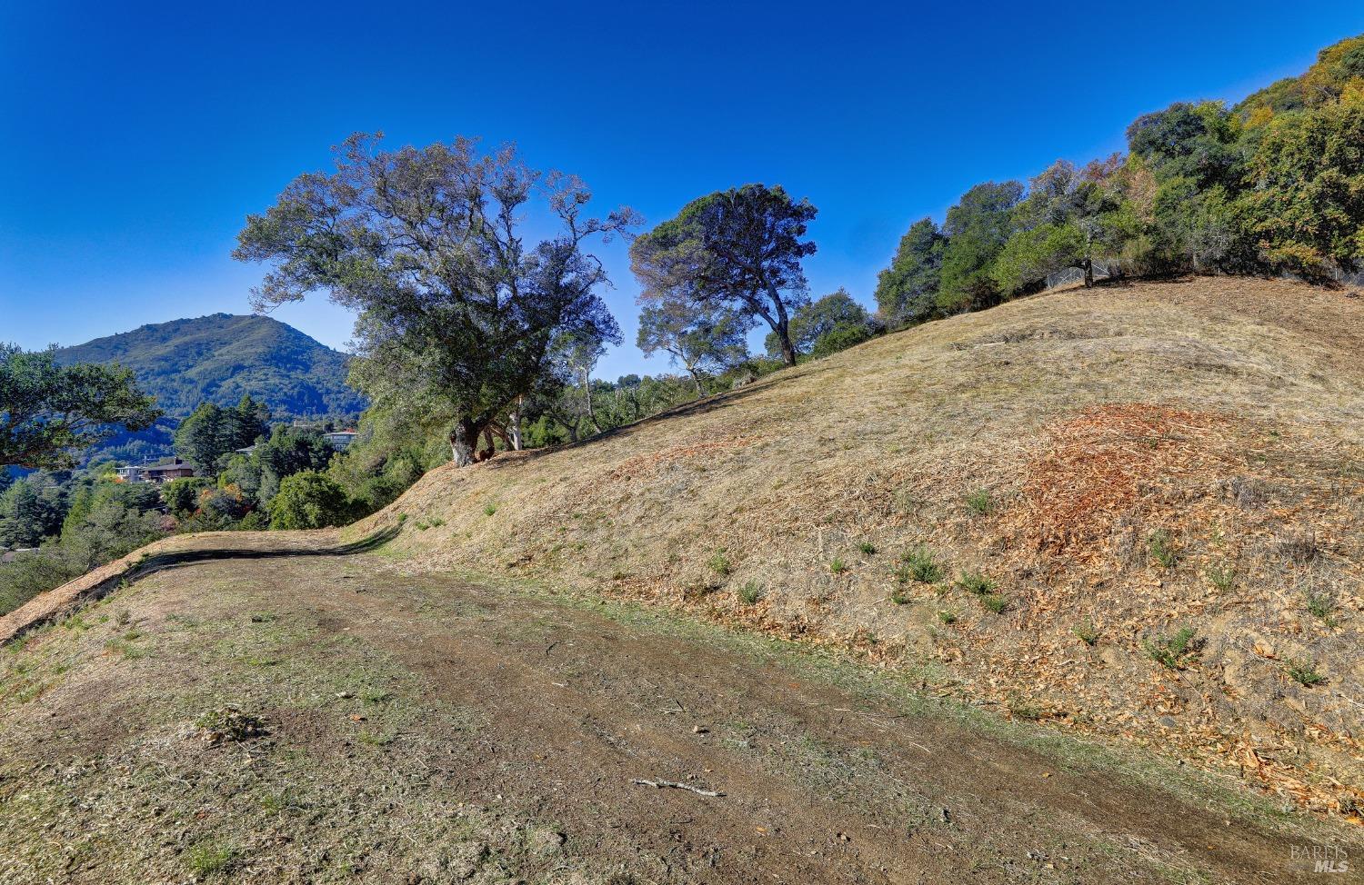 50 Oak Road Larkspur CA 94939