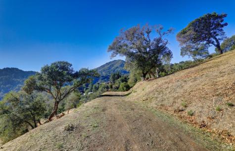 50 Oak Road Larkspur CA 94939