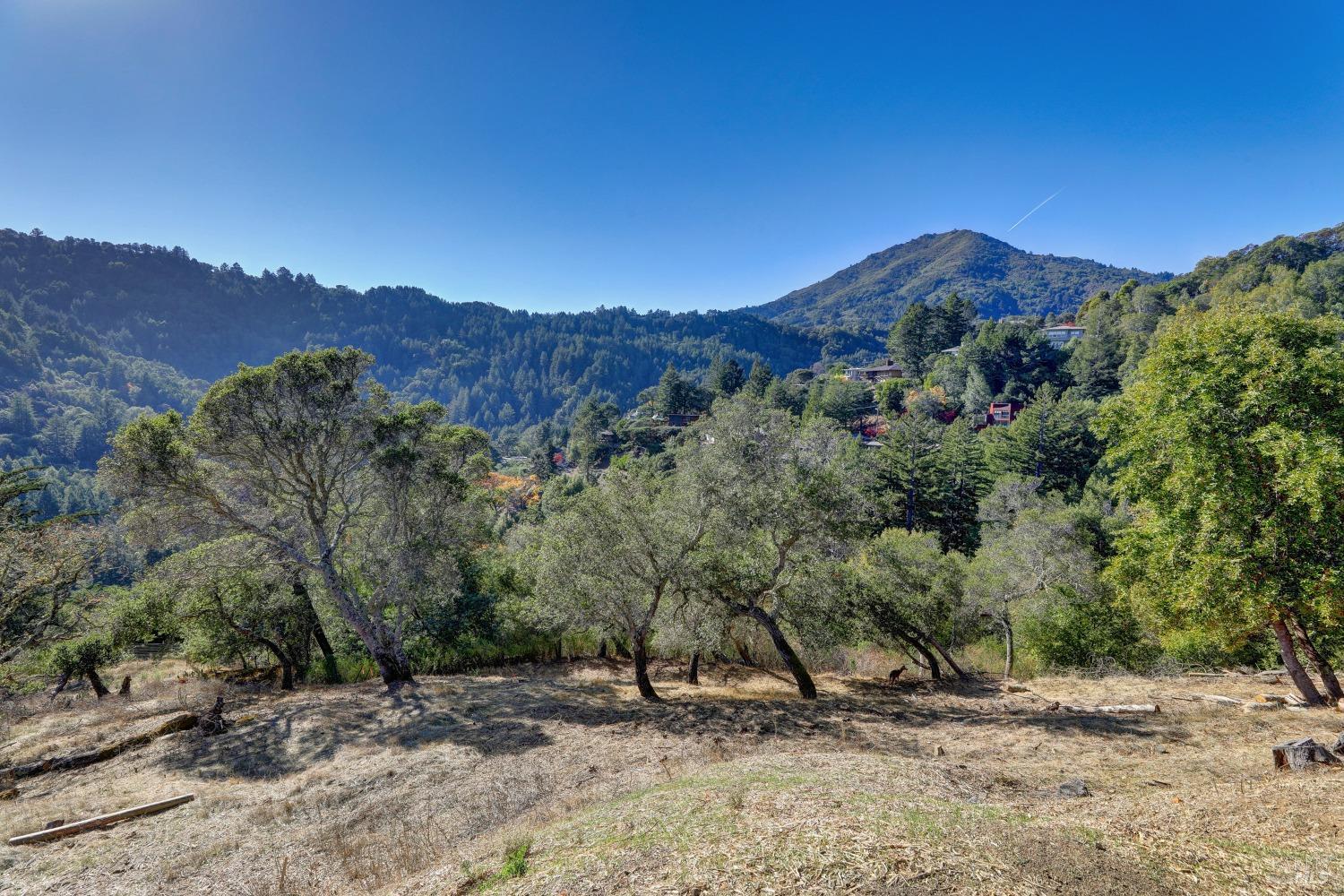 50 Oak Road Larkspur CA 94939