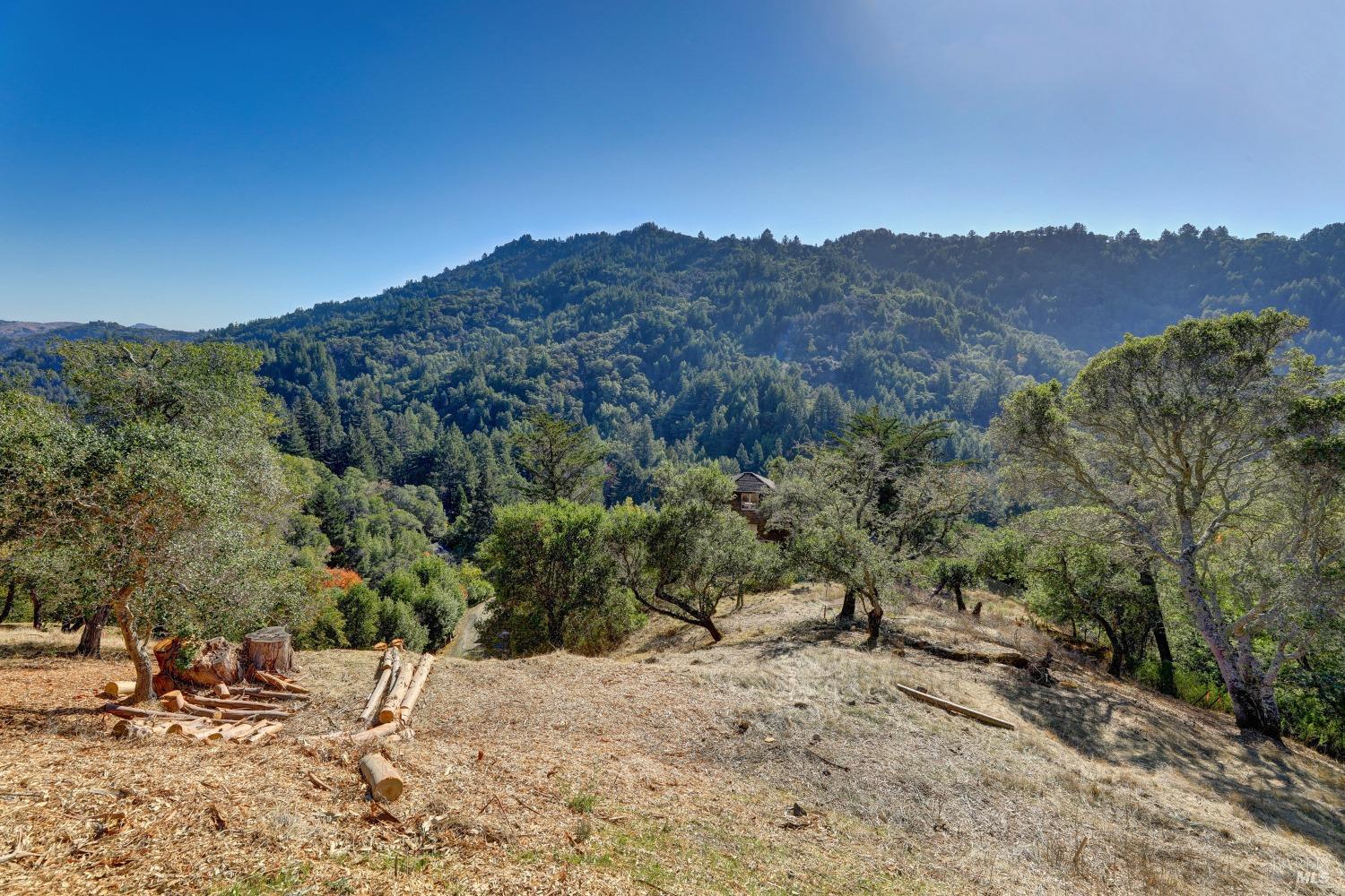 50 Oak Road Larkspur CA 94939