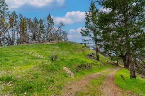1401 Big Ridge Road Healdsburg CA 95448