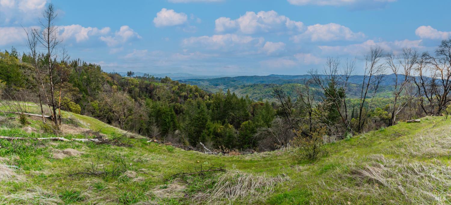 1401 Big Ridge Road Healdsburg CA 95448