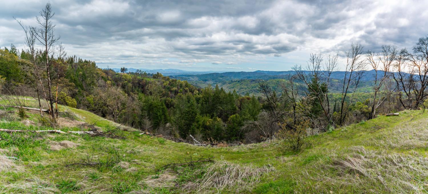 1401 Big Ridge Road Healdsburg CA 95448