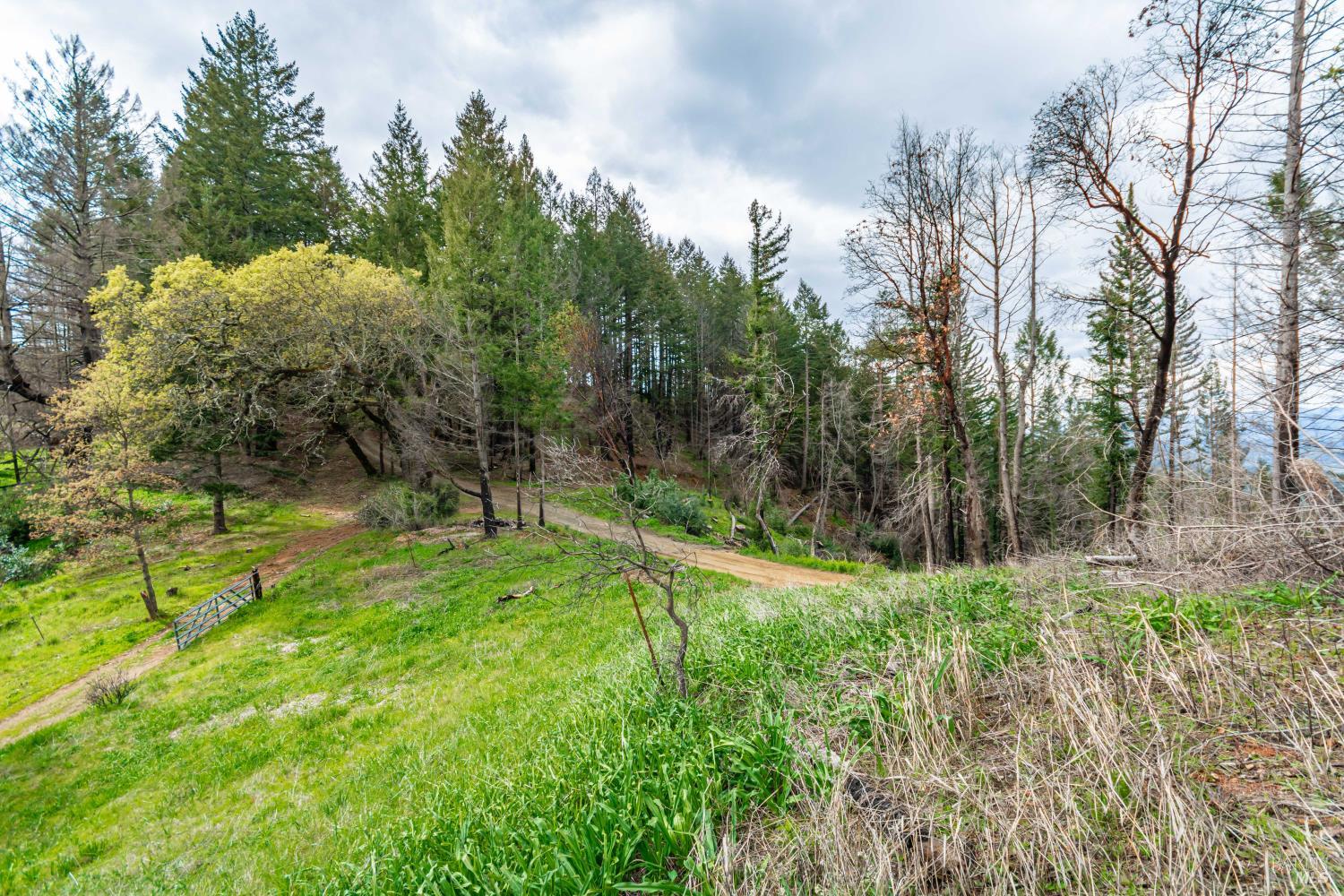 1401 Big Ridge Road Healdsburg CA 95448
