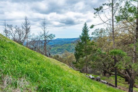 1401 Big Ridge Road Healdsburg CA 95448