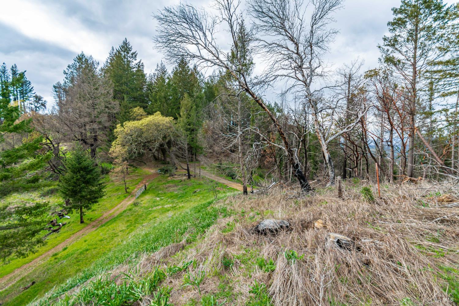 1401 Big Ridge Road Healdsburg CA 95448