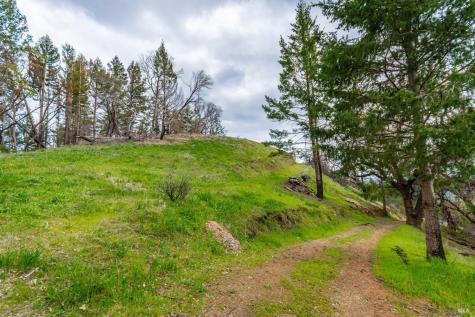 1401 Big Ridge Road Healdsburg CA 95448