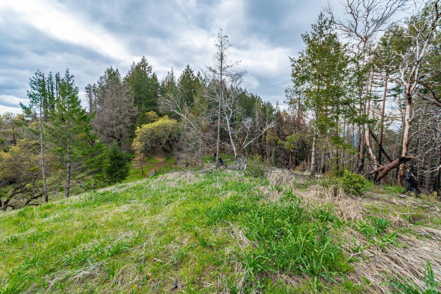 1401 Big Ridge Road Healdsburg CA 95448