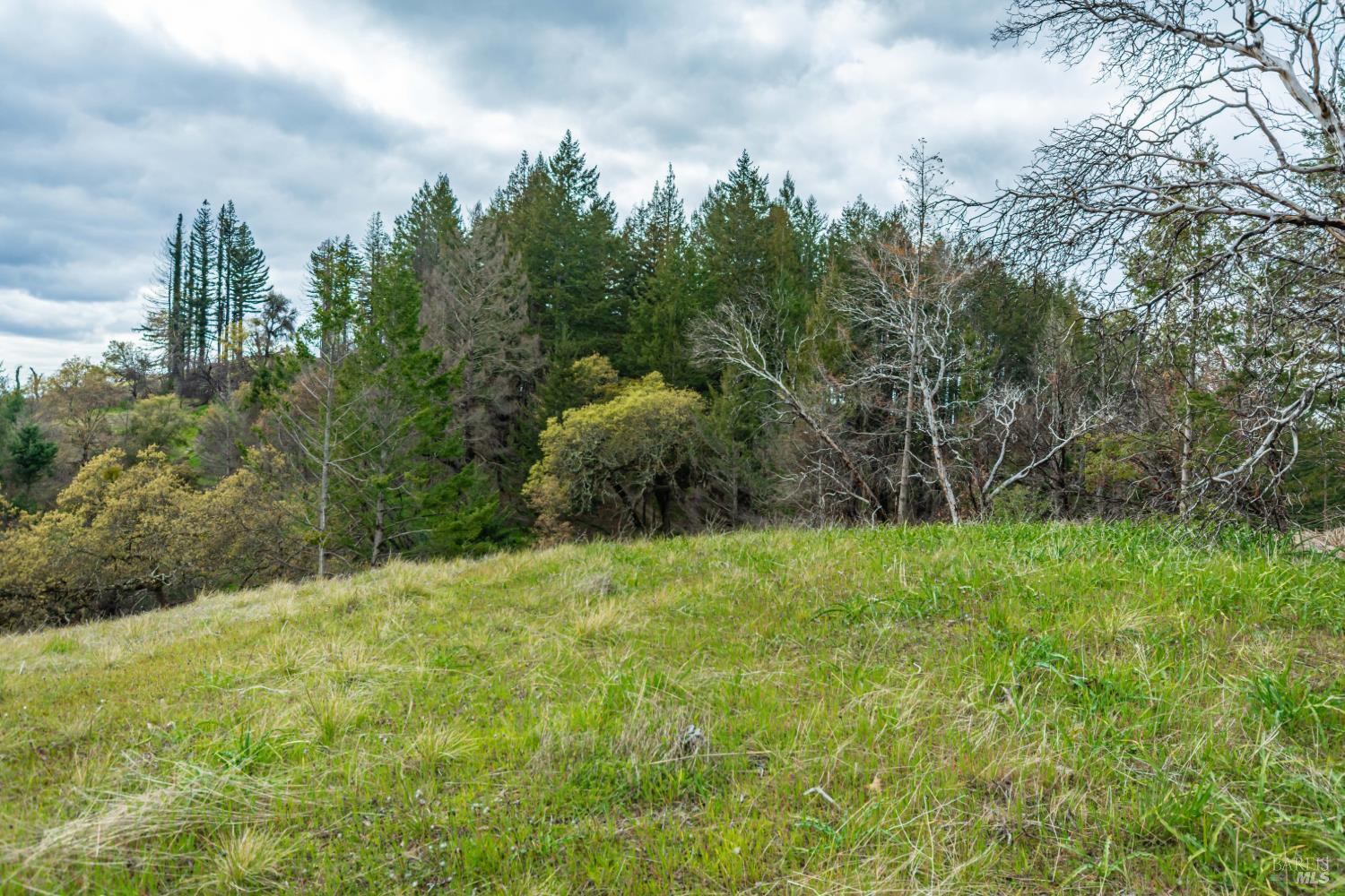 1401 Big Ridge Road Healdsburg CA 95448