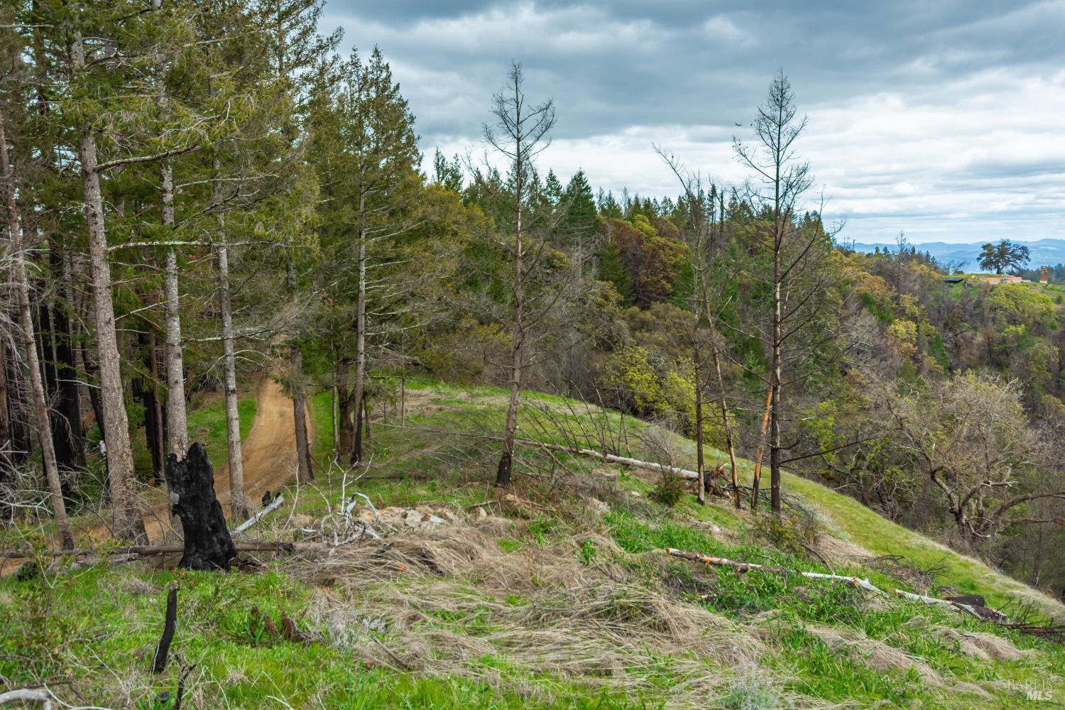 1401 Big Ridge Road Healdsburg CA 95448