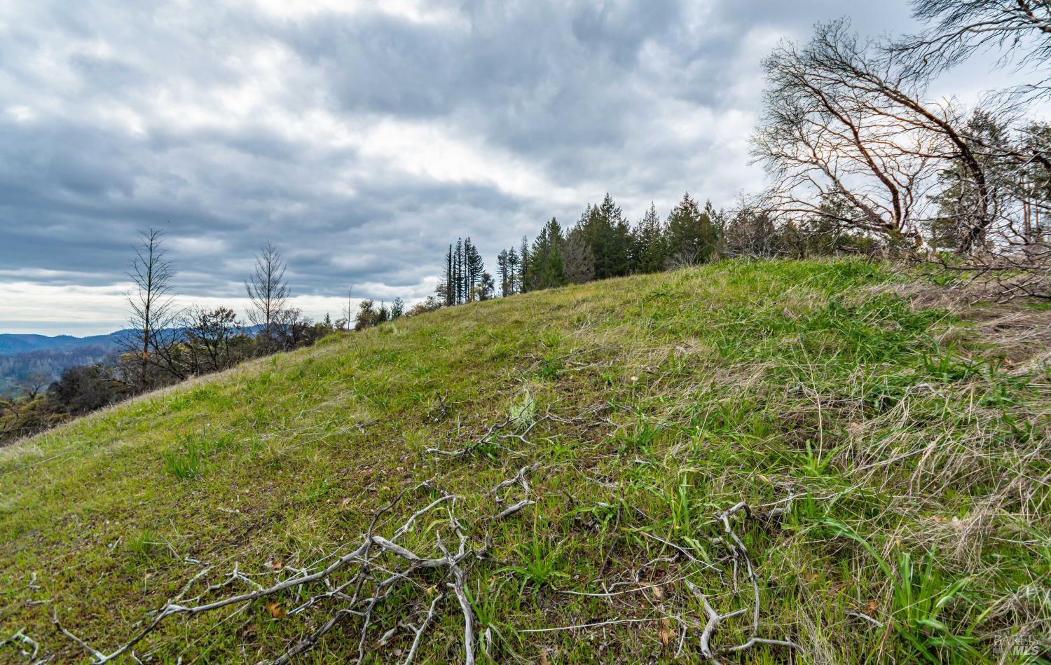 1401 Big Ridge Road Healdsburg CA 95448