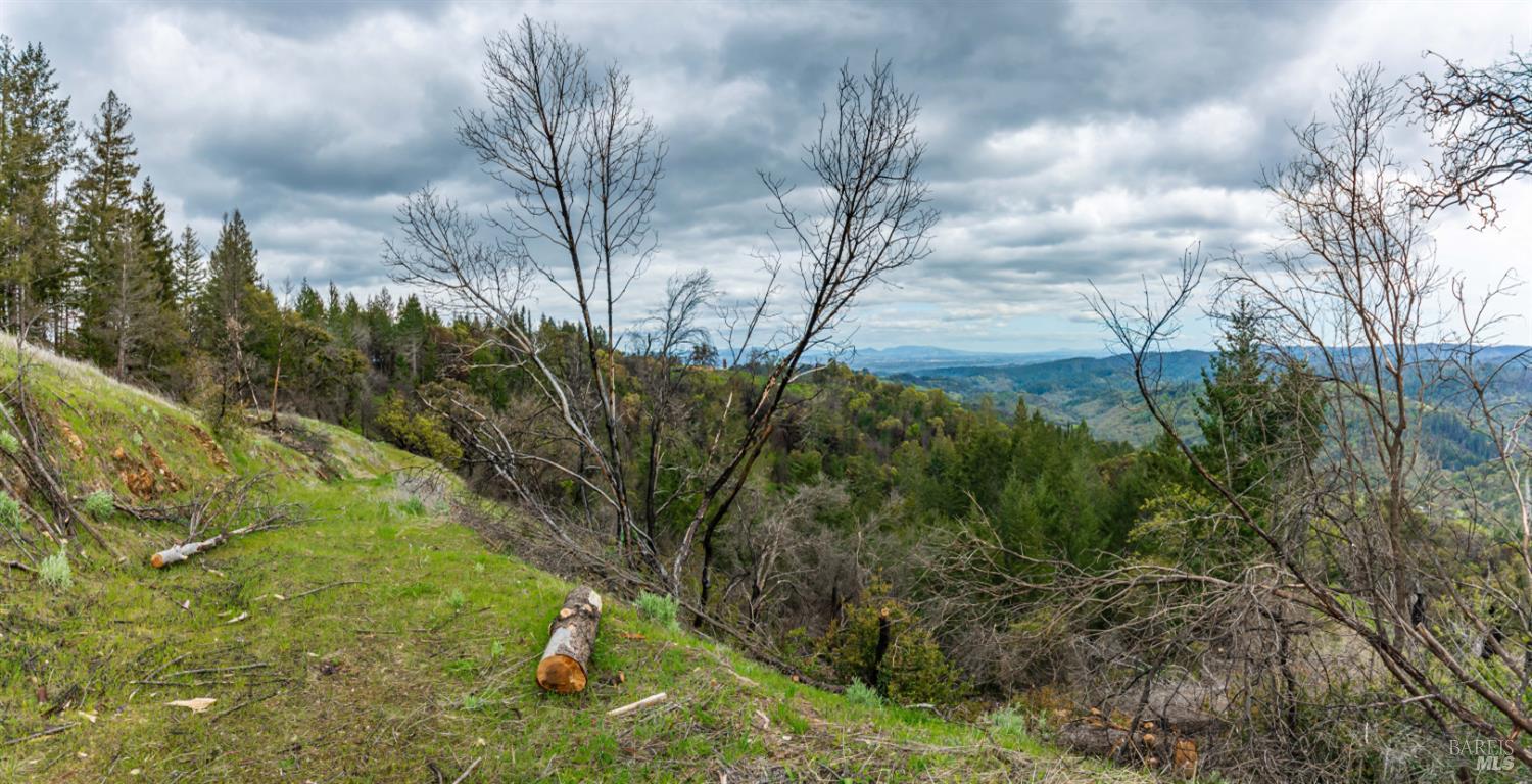 1401 Big Ridge Road Healdsburg CA 95448