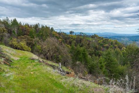 1401 Big Ridge Road Healdsburg CA 95448