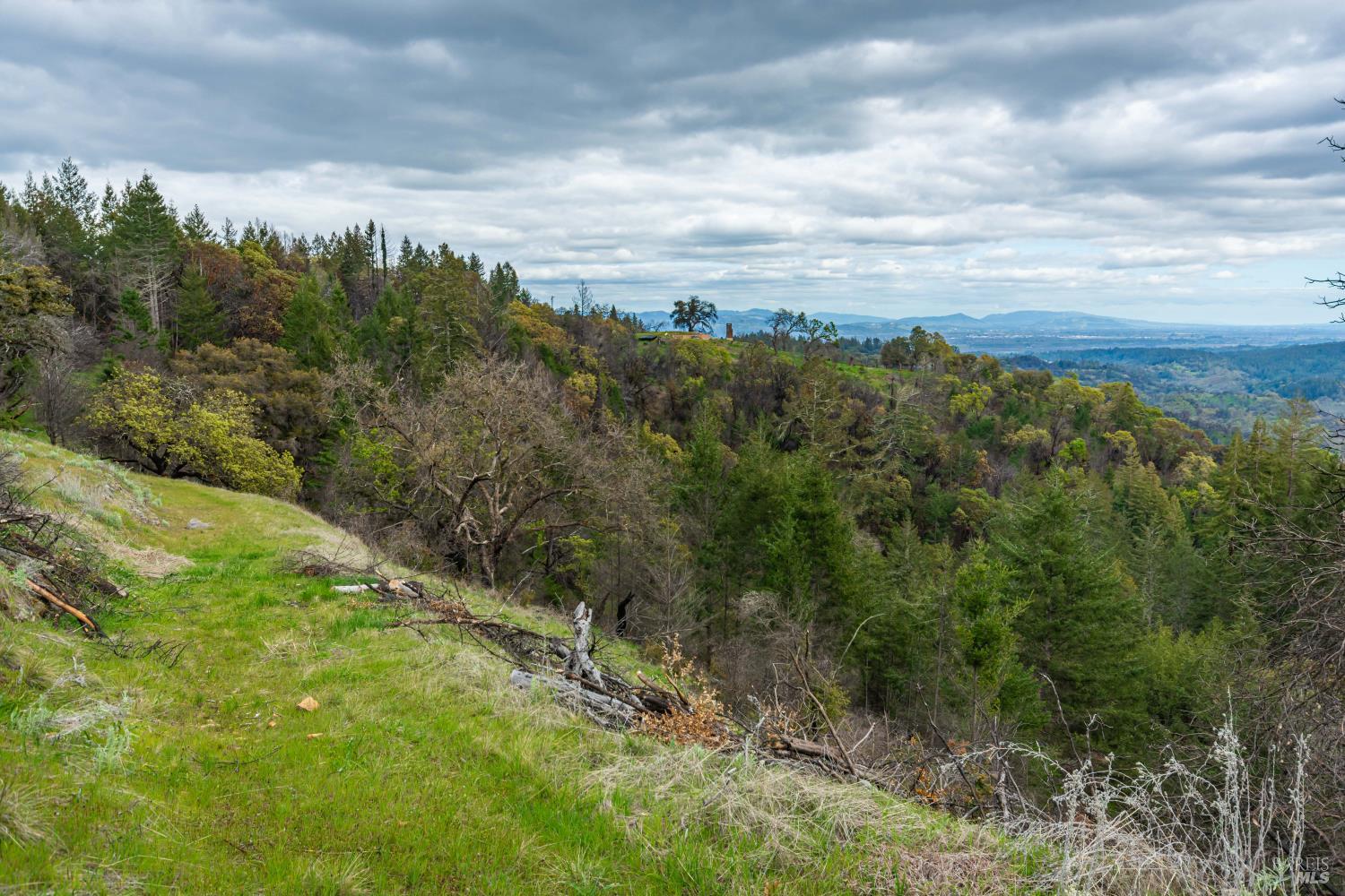 1401 Big Ridge Road Healdsburg CA 95448