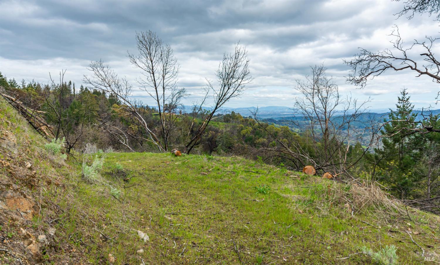 1401 Big Ridge Road Healdsburg CA 95448