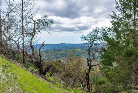 1401 Big Ridge Road Healdsburg CA 95448