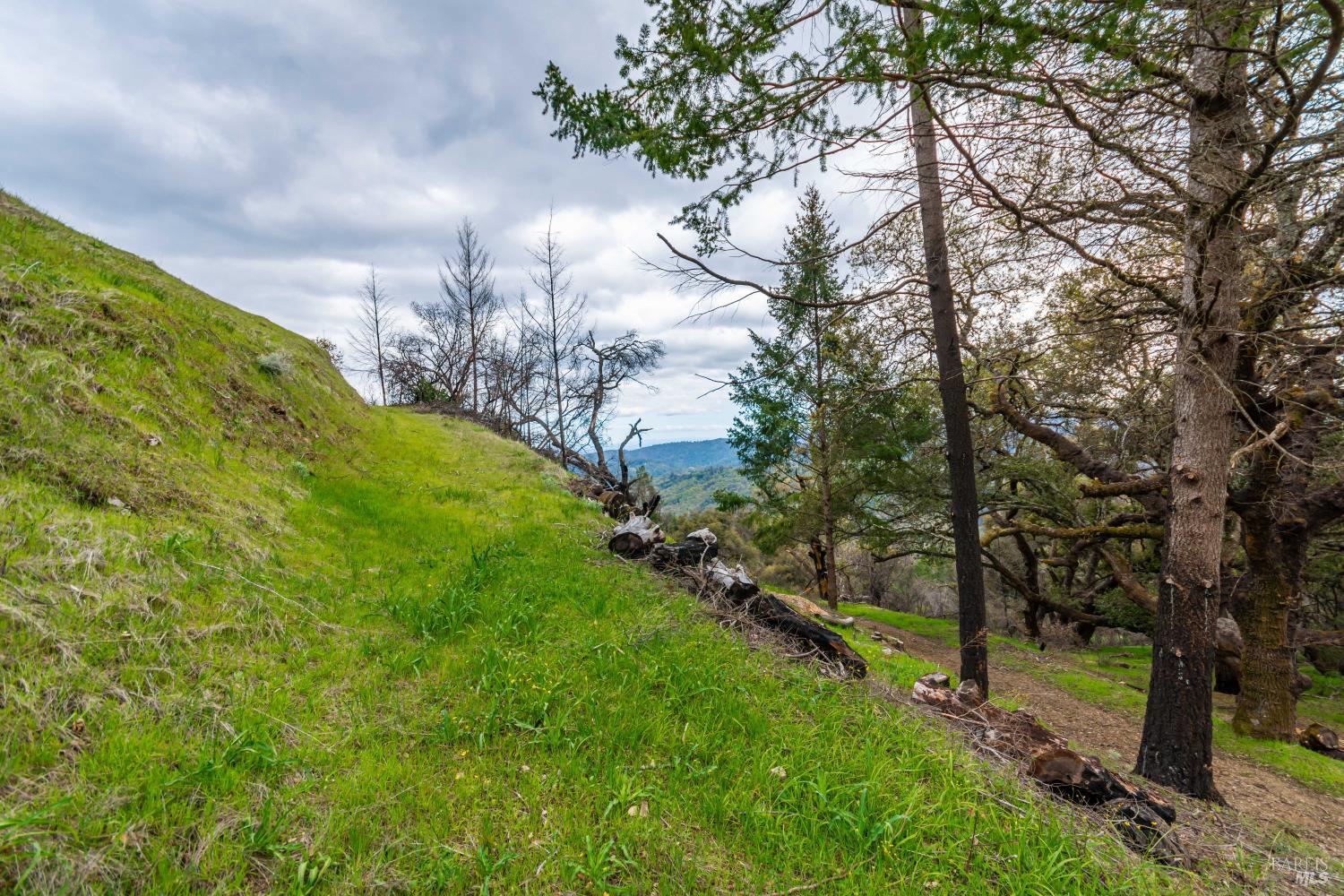 1401 Big Ridge Road Healdsburg CA 95448