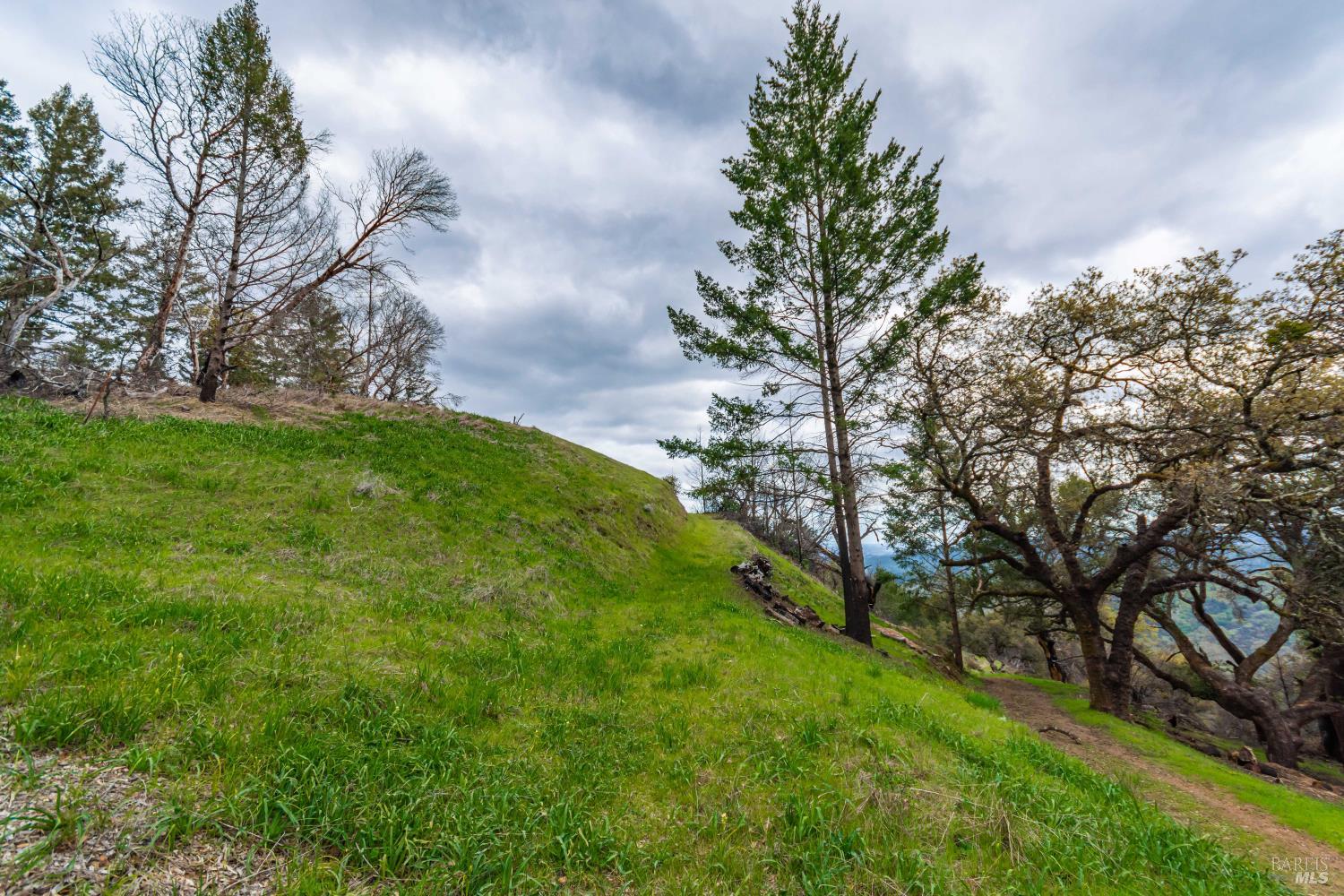 1401 Big Ridge Road Healdsburg CA 95448
