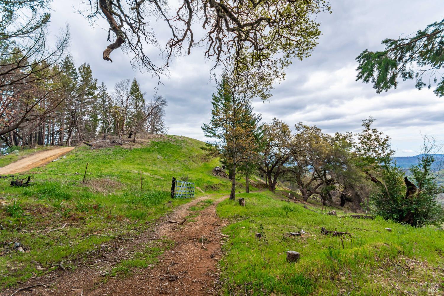 1401 Big Ridge Road Healdsburg CA 95448