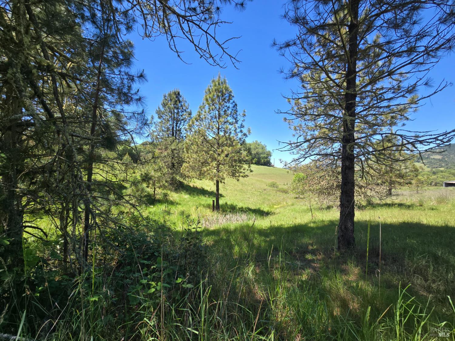 23300 Eastside Road Willits CA 95490