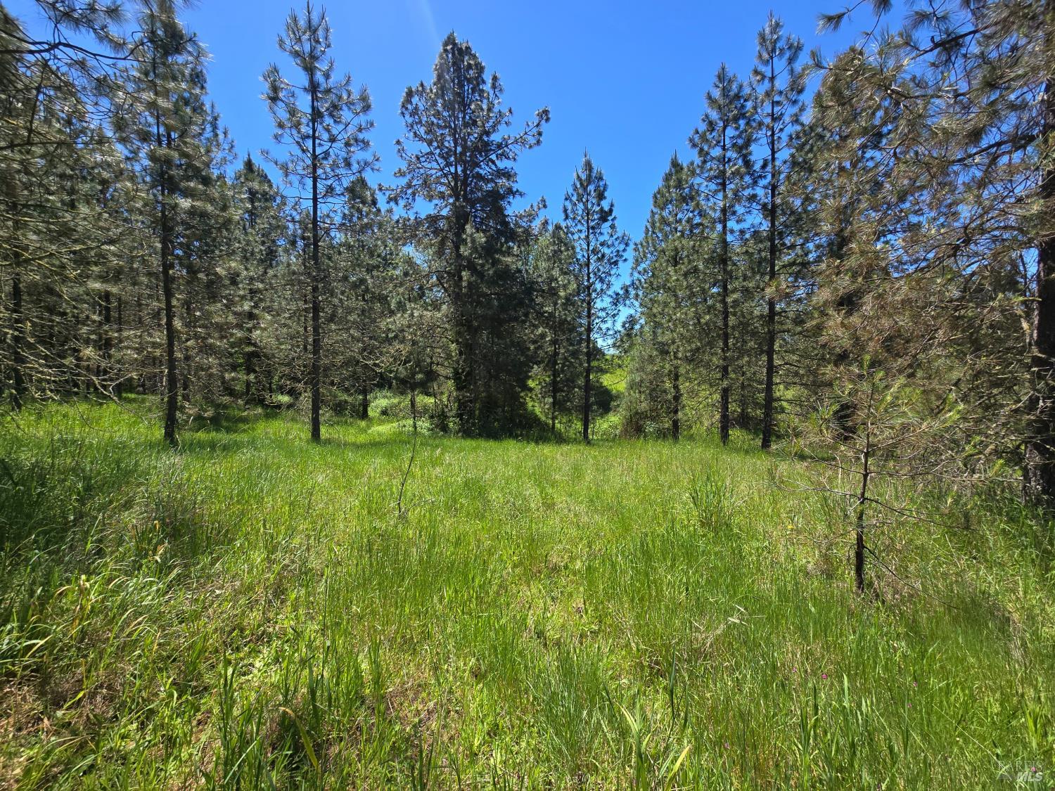 23300 Eastside Road Willits CA 95490