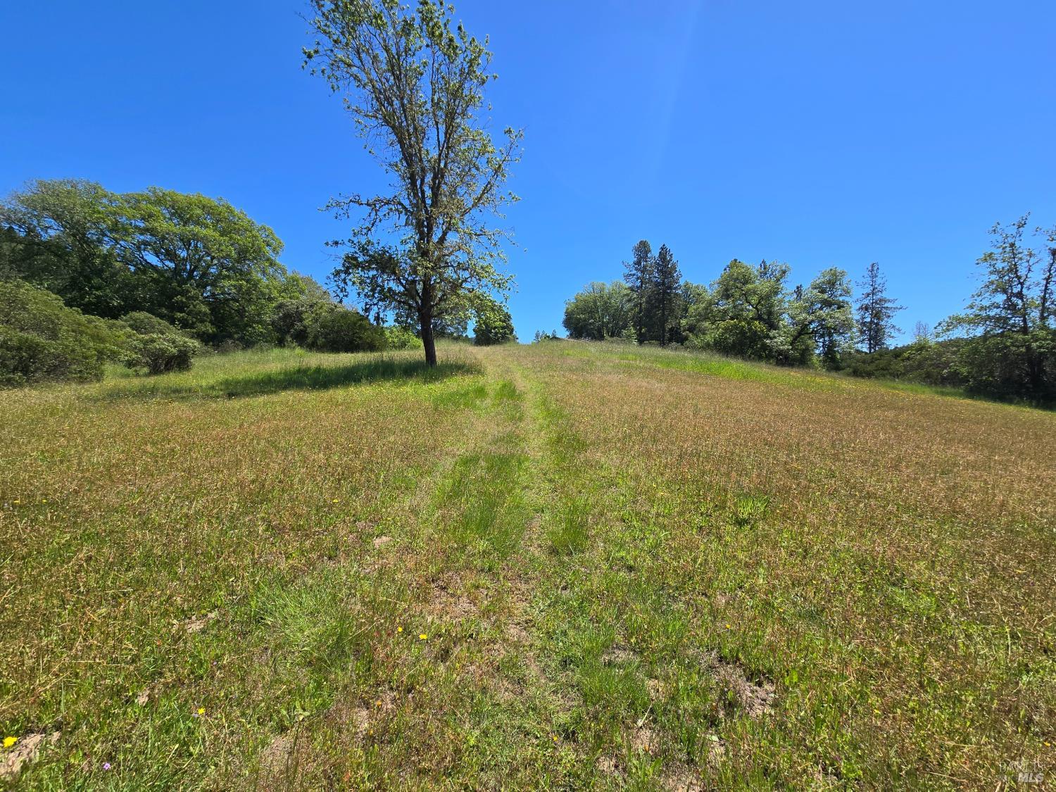 23300 Eastside Road Willits CA 95490