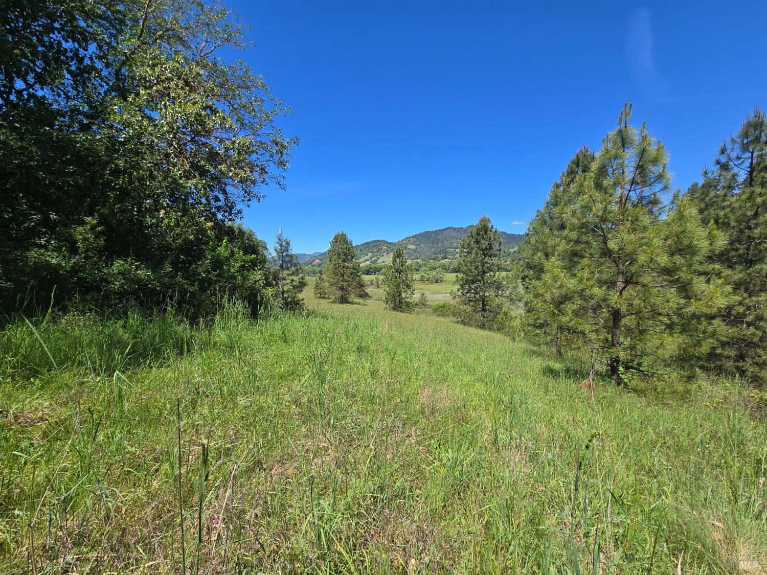 23300 Eastside Road Willits CA 95490