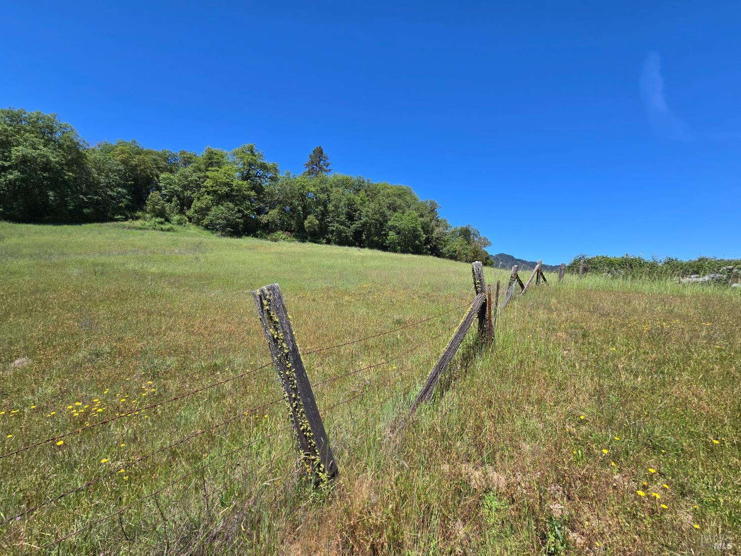 23300 Eastside Road Willits CA 95490