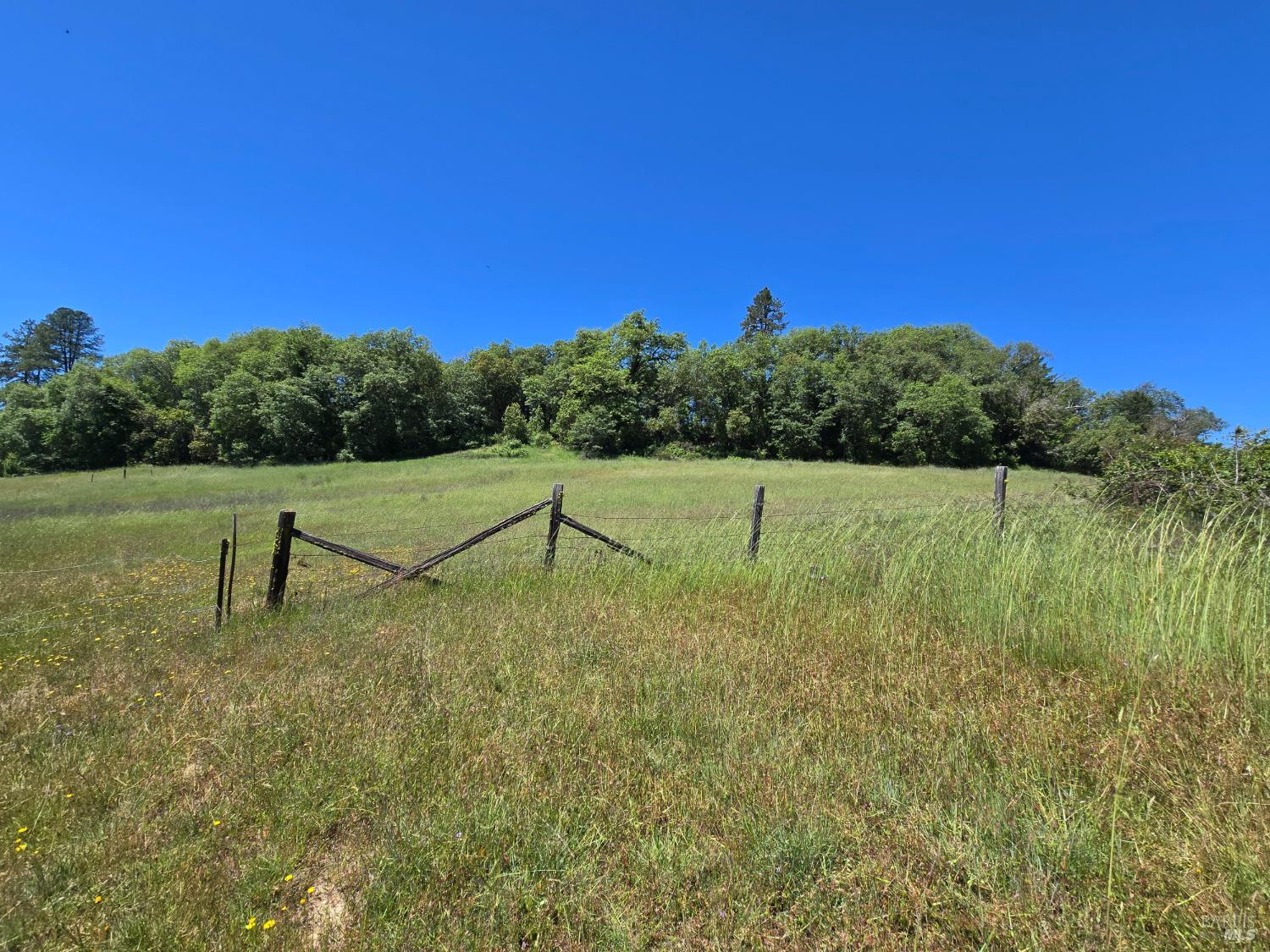 23300 Eastside Road Willits CA 95490