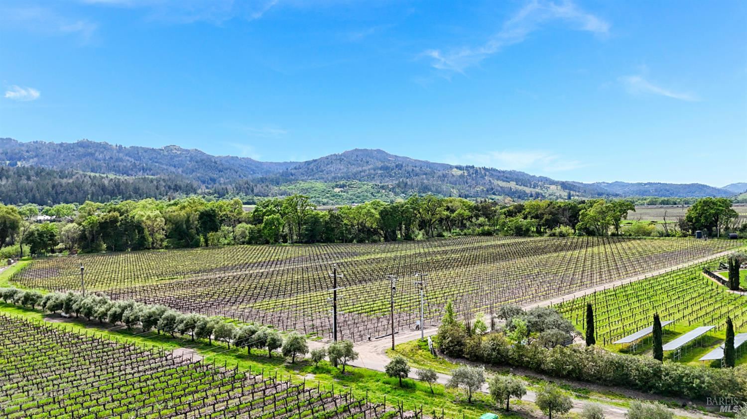 3867 Silverado Trail Calistoga CA 94515